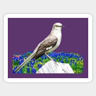 TEXAS STATE BIRD MOCKINGBIRD Sticker